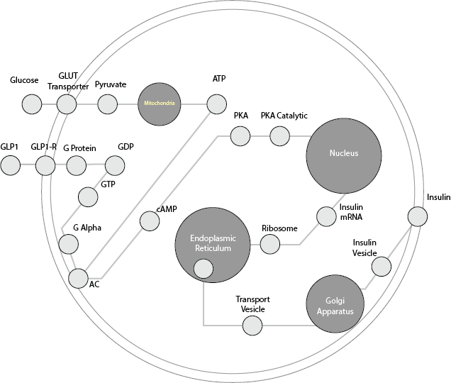 World in a Cell - Prototypes