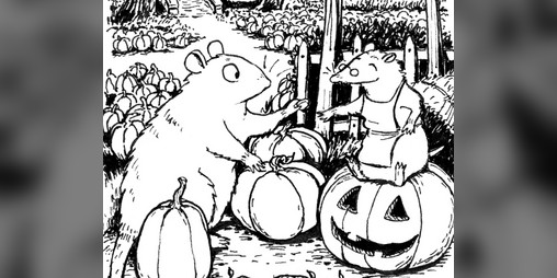 Cover image for Opossum's Halloween