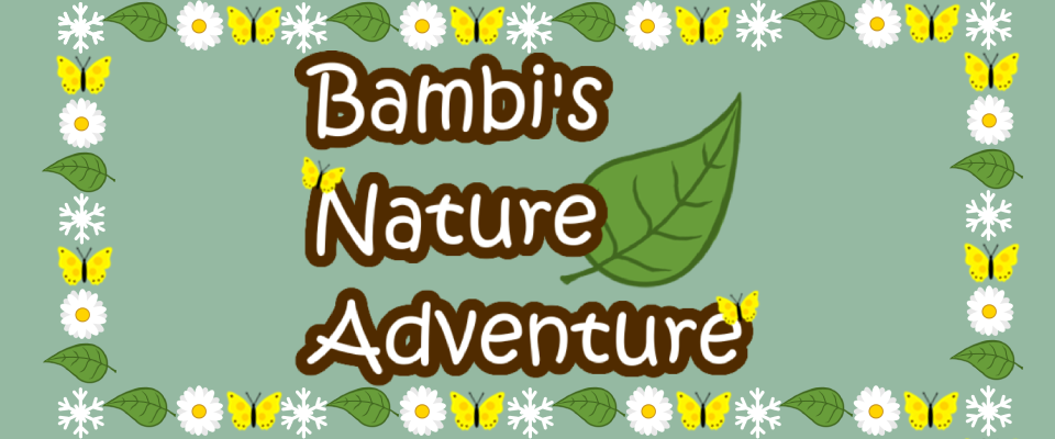 Bambi's Nature Adventure