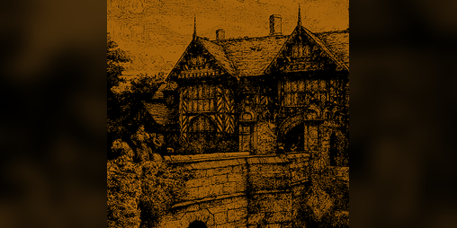 Cover image for The Manor