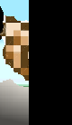 Chicken Sniper