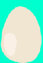 Cover image for egg