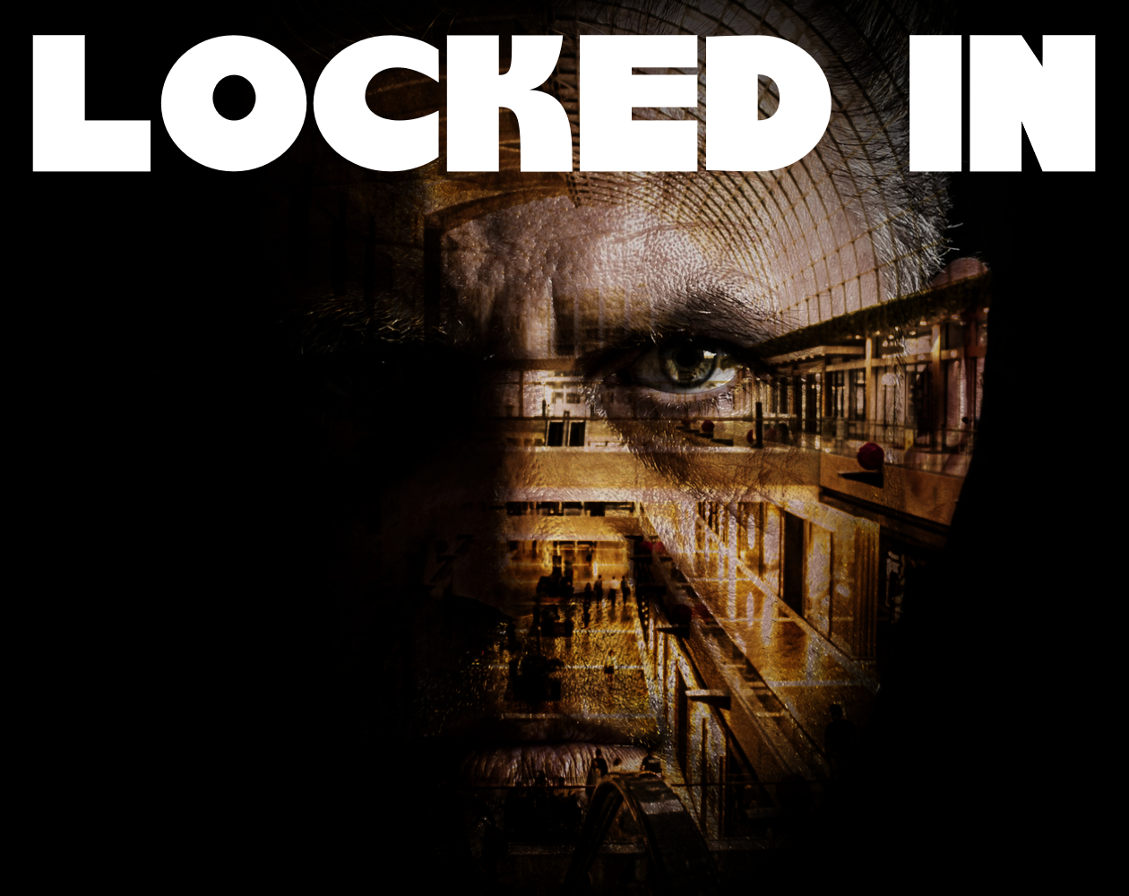 Cover image for Locked In