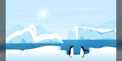 Cover image for Penguins Can't Fly