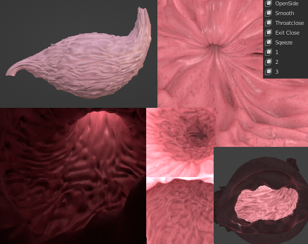 Stomach asset , High detail with Morphs by Garrisen Game Art