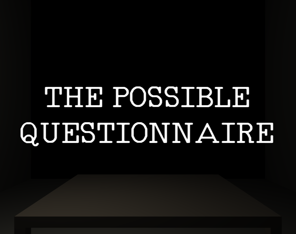 The Possible Questionnaire by Kit Dantinne