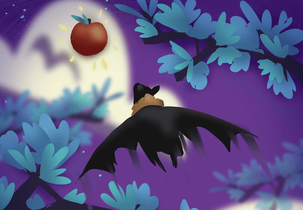 Frankie The Flying Fox