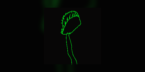 Cover image for Carnivore