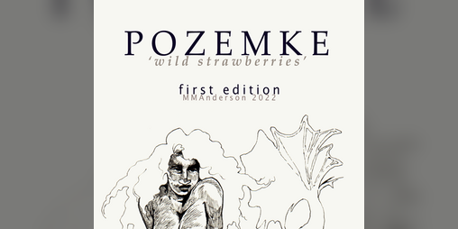 Cover image for POZEMKE: a sketch collection