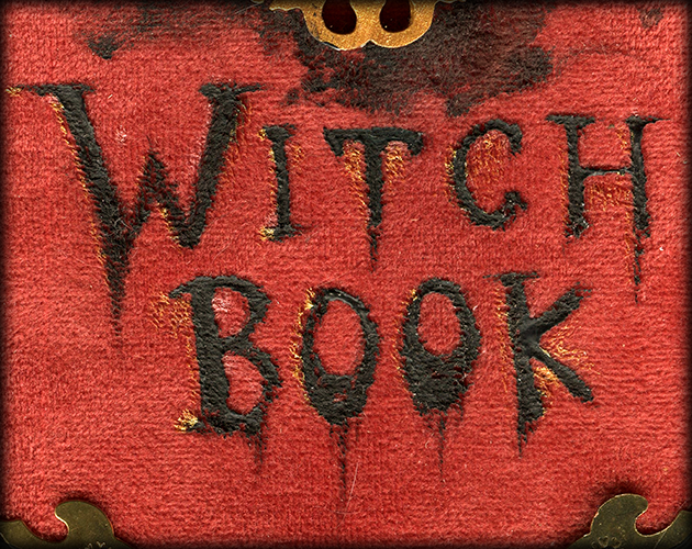 Cover image for Witch Book