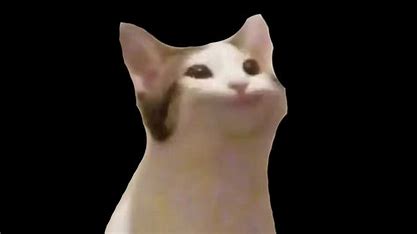 Vibing Cat Roblox Popcat GIF