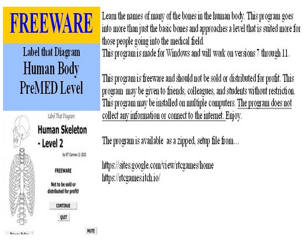 Label that Diagram - Human Sleleton 2 - Med
