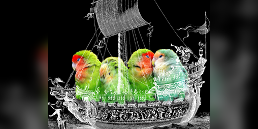 Cover image for Platonic Pirates