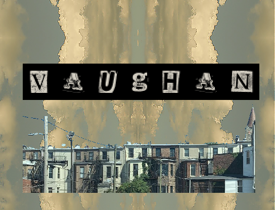 Cover image for Vaughan