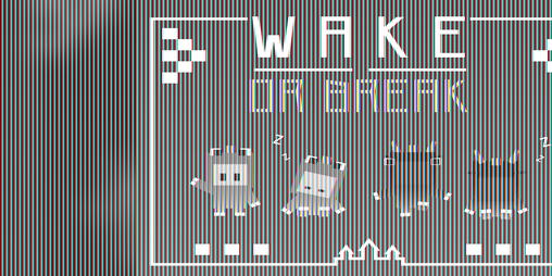 Cover image for Wake or Break