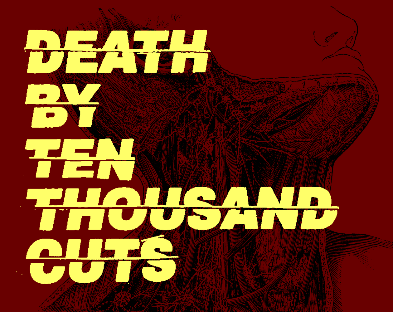 Cover image for Death by Ten Thousand Cuts