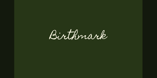 Cover image for Birthmark