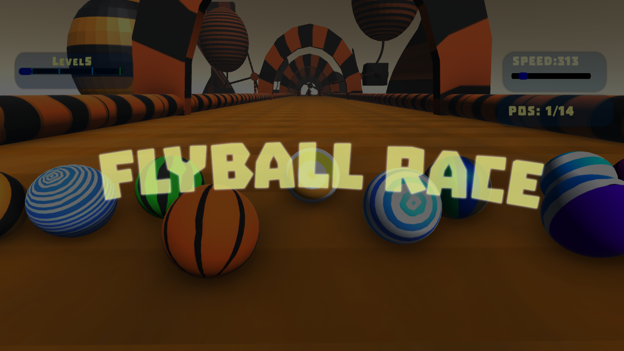 FlyBallRace