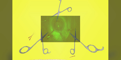 Cover image for P,L,A,Y,I,N,G