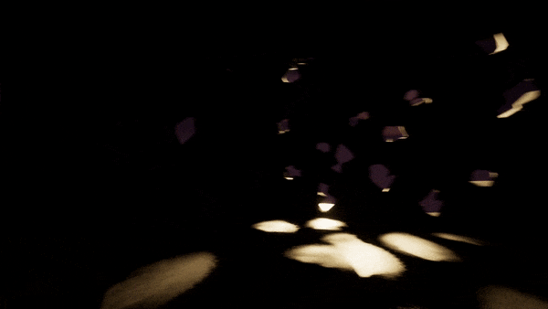 Perceived Solace