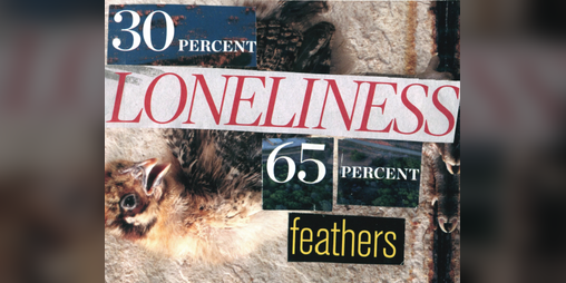 Cover image for 30 Percent Loneliness | 65 Percent Feathers