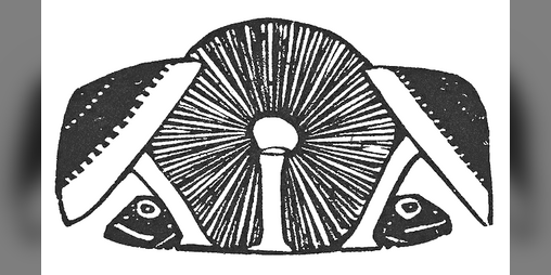 Cover image for The Peddler Of Mycosi