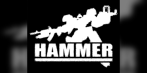 Cover image for Hammer