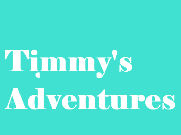 TIMMY'S ADVENTURES