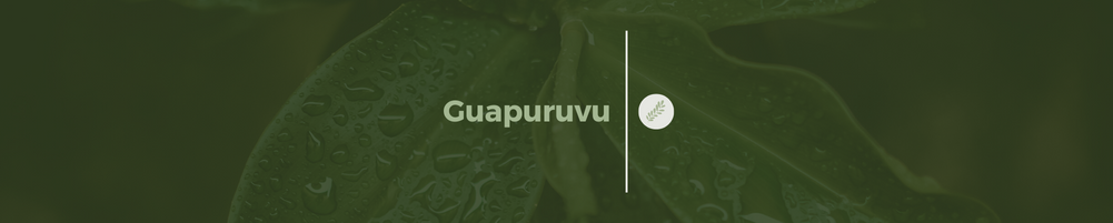 guapuruvu