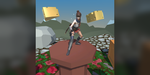 Cover image for Swiss Ninja