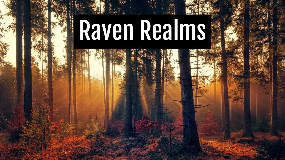 Cover image for Raven Realms