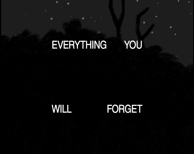Cover image for Everything You Will Forget