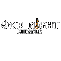 One Night Miracle