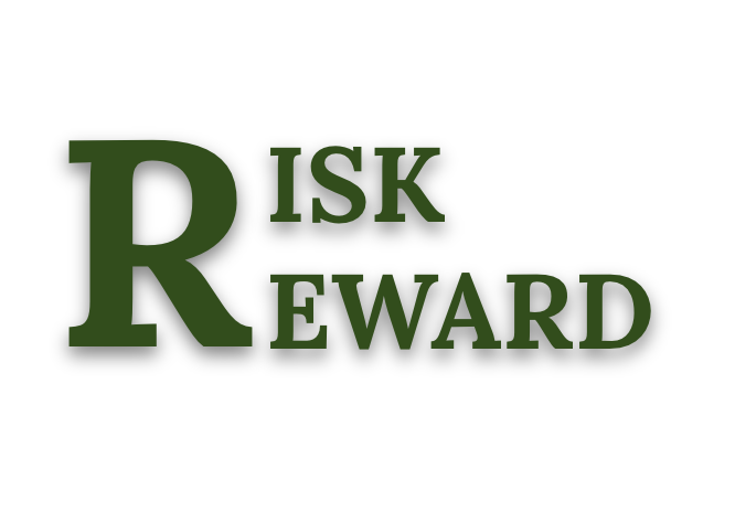Cover image for Risk/Reward