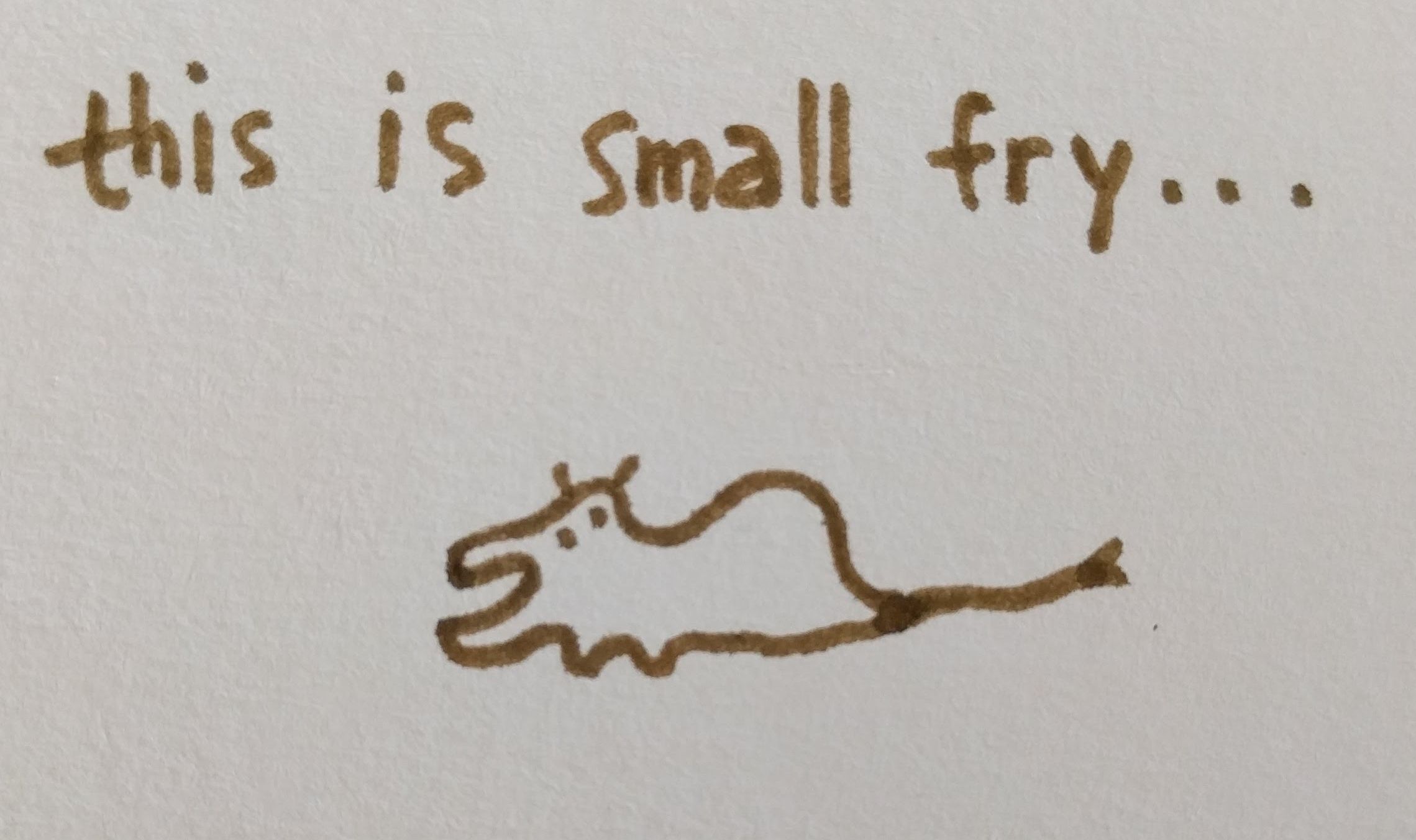 this is small fry