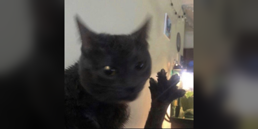 Cover image for DabloonClicker