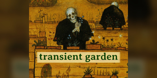 Cover image for transient garden