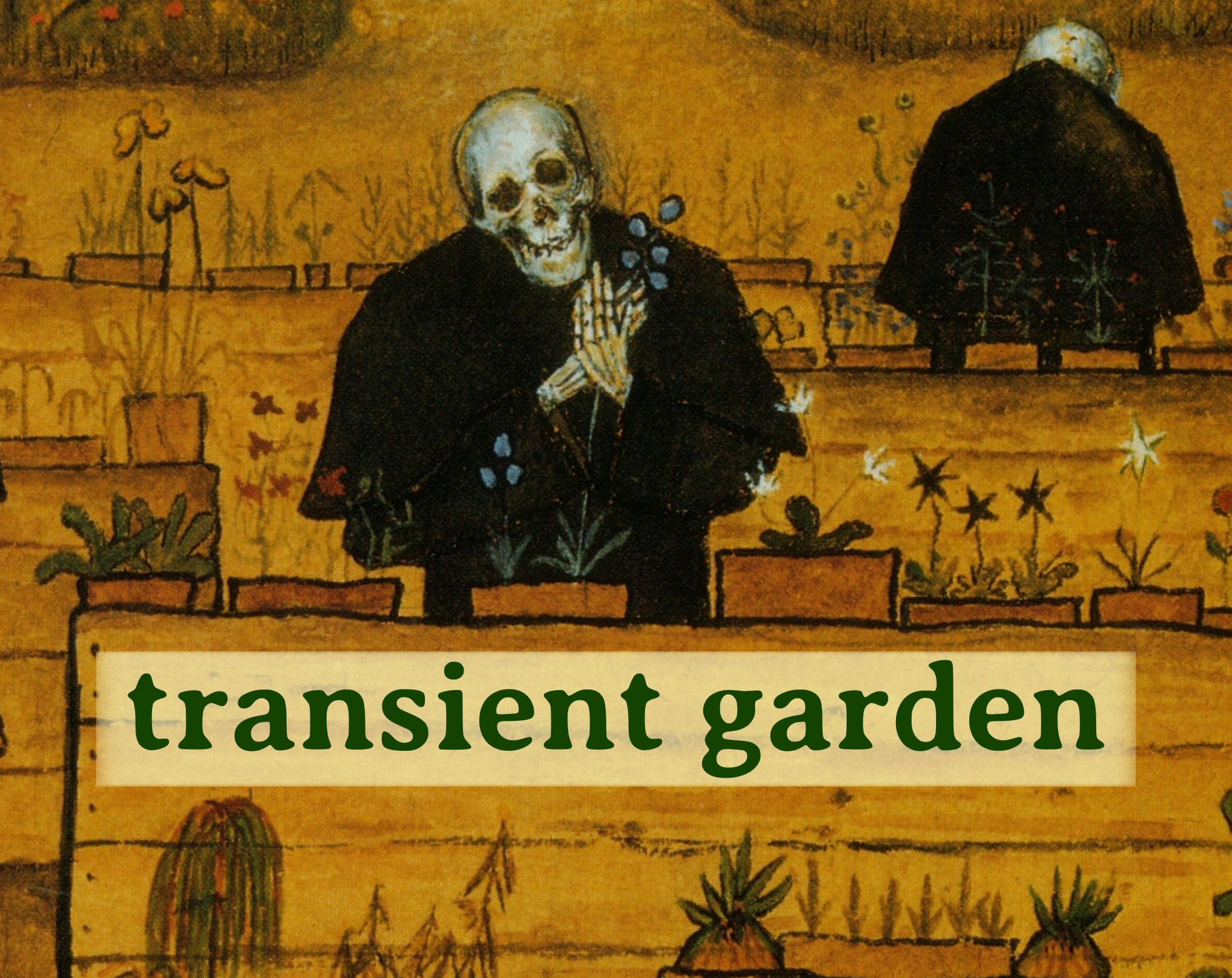 Cover image for transient garden