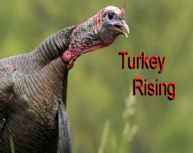 Turkey rising