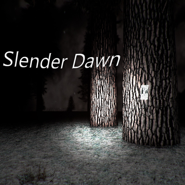 Cover image for Slender Dawn