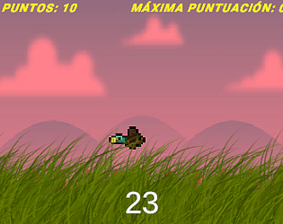 Shooting duck