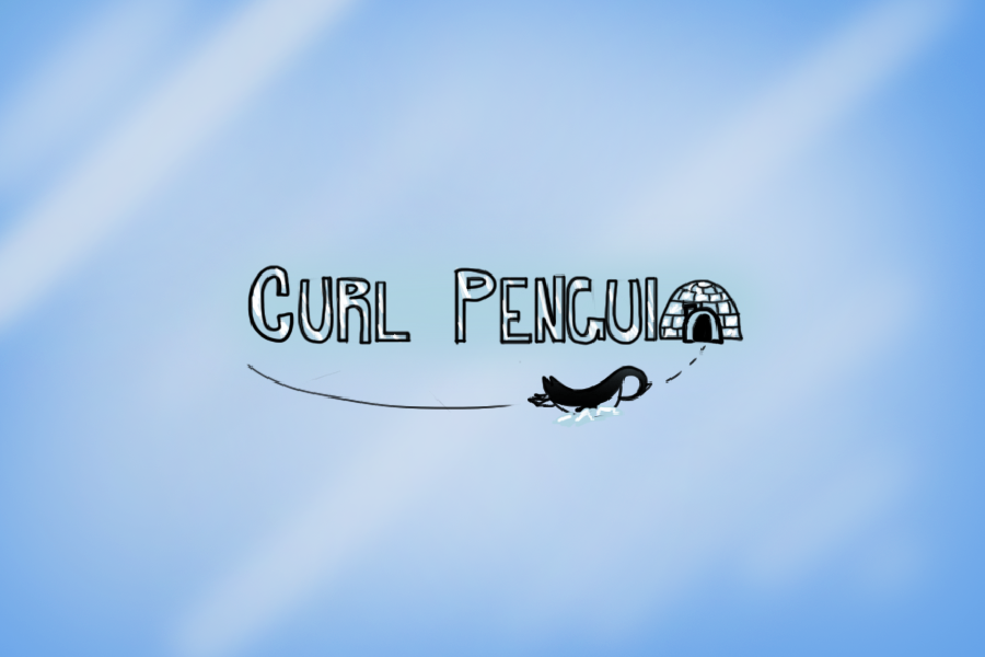 Cover image for Curl Penguin