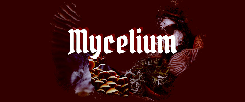 Mycelium | A Mausritter Adventure