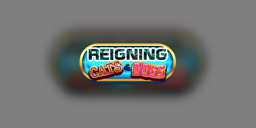 Cover image for Reigning Cats And Dogs