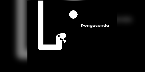 Cover image for Pongaconda