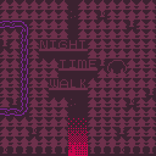 Cover image for Night Time Walk