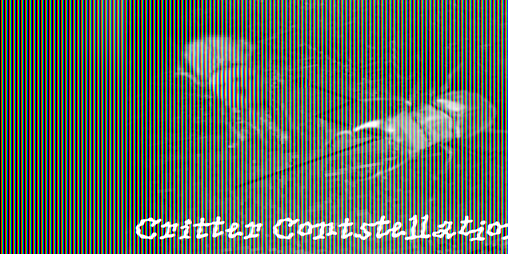 Cover image for Critter Constellations