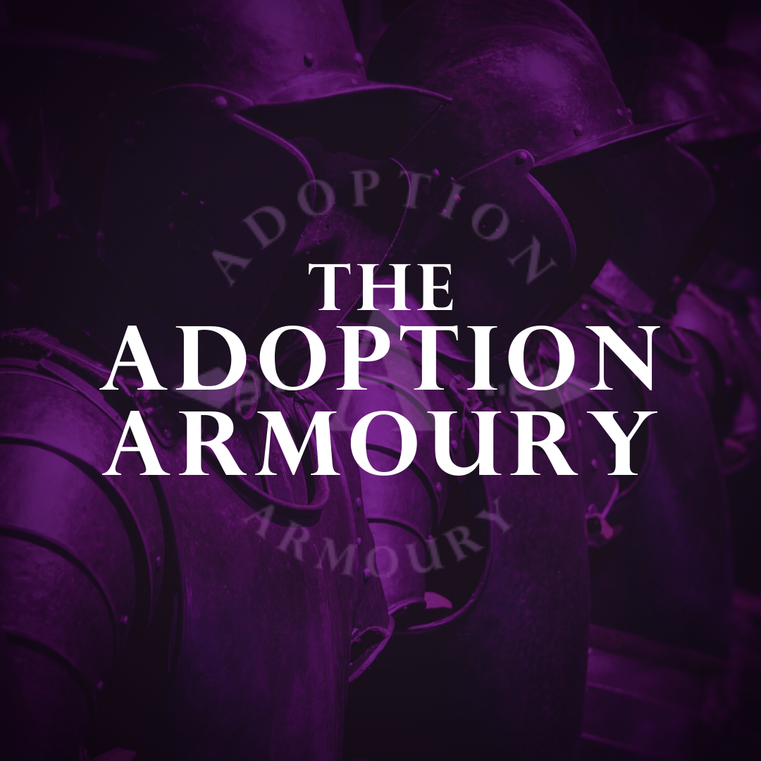 Cover image for Adoption Armoury