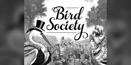 Cover image for Bird Society