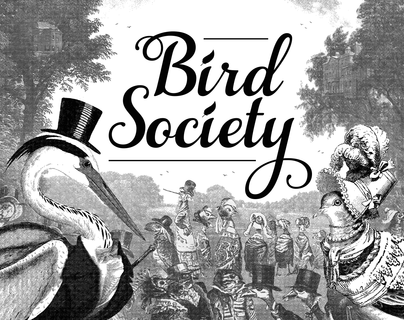 bird-society-by-david-brunell-brutman